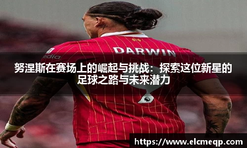 努涅斯在赛场上的崛起与挑战：探索这位新星的足球之路与未来潜力